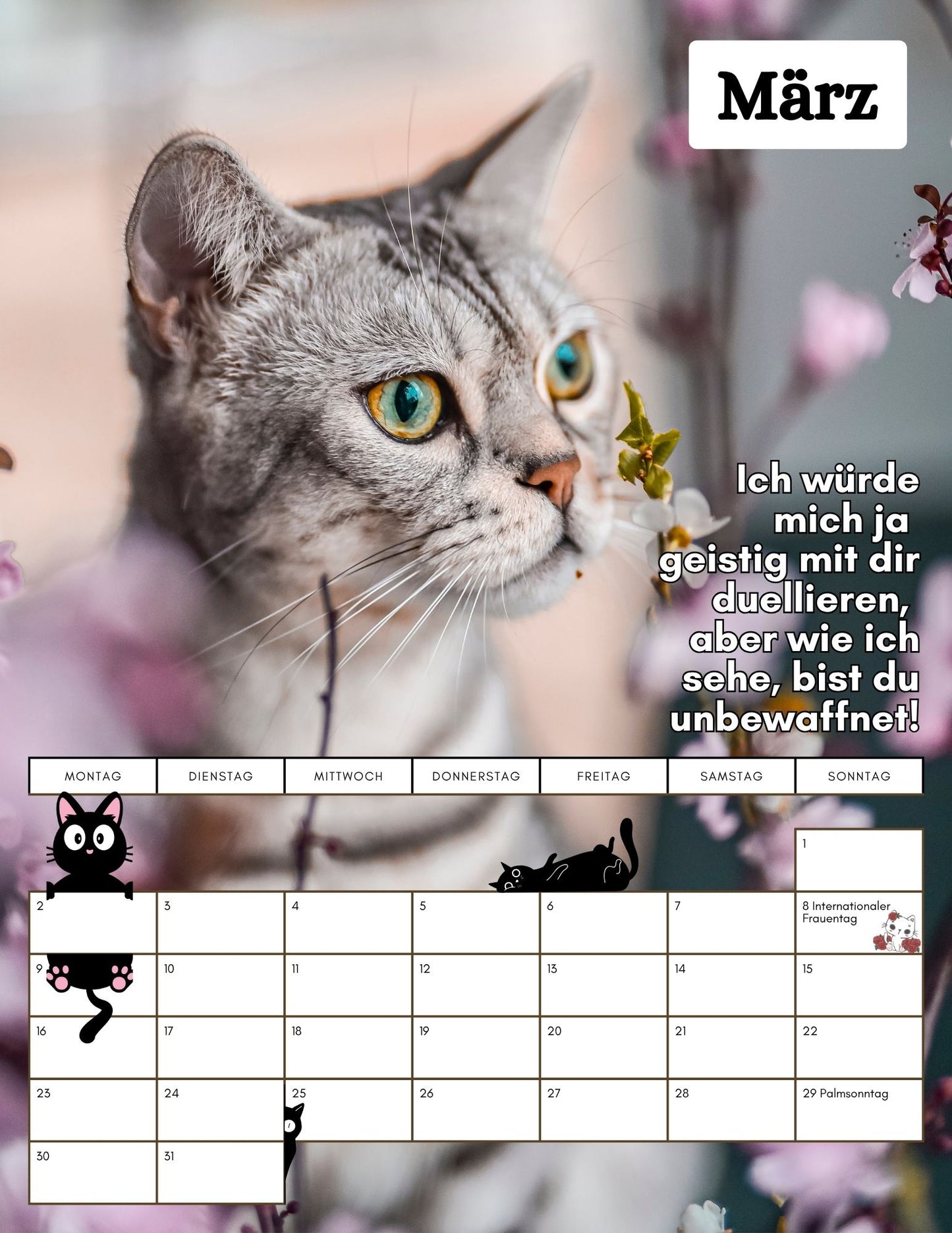 Apollo & Cosmo - kein Kalender für Bremsen