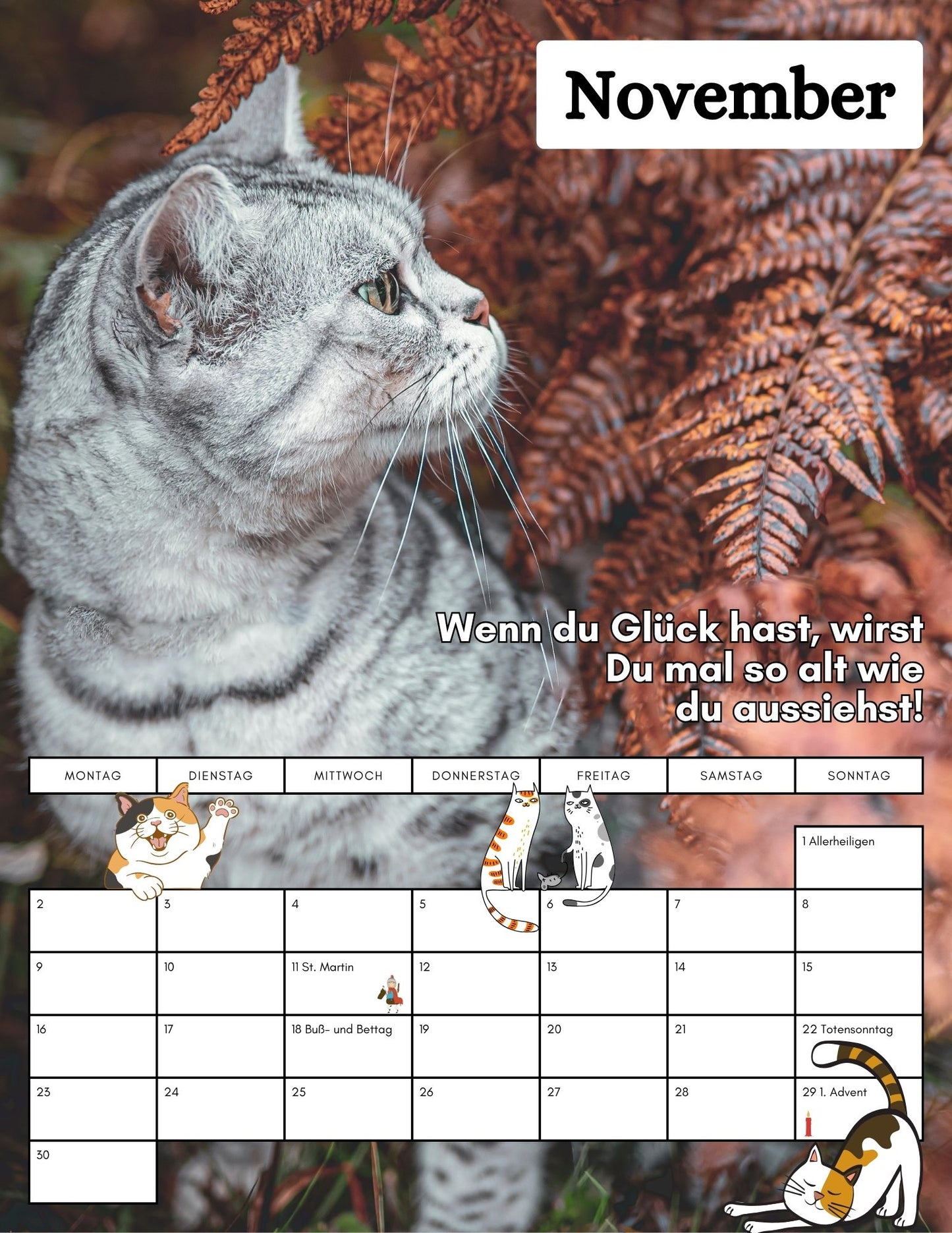 Apollo & Cosmo - kein Kalender für Bremsen