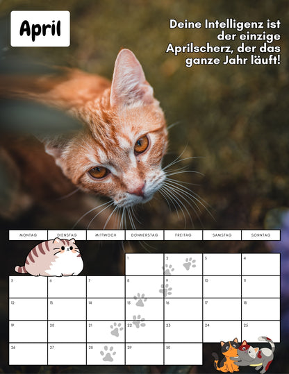 Apollo & Cosmo - kein Kalender zum hängenbleiben