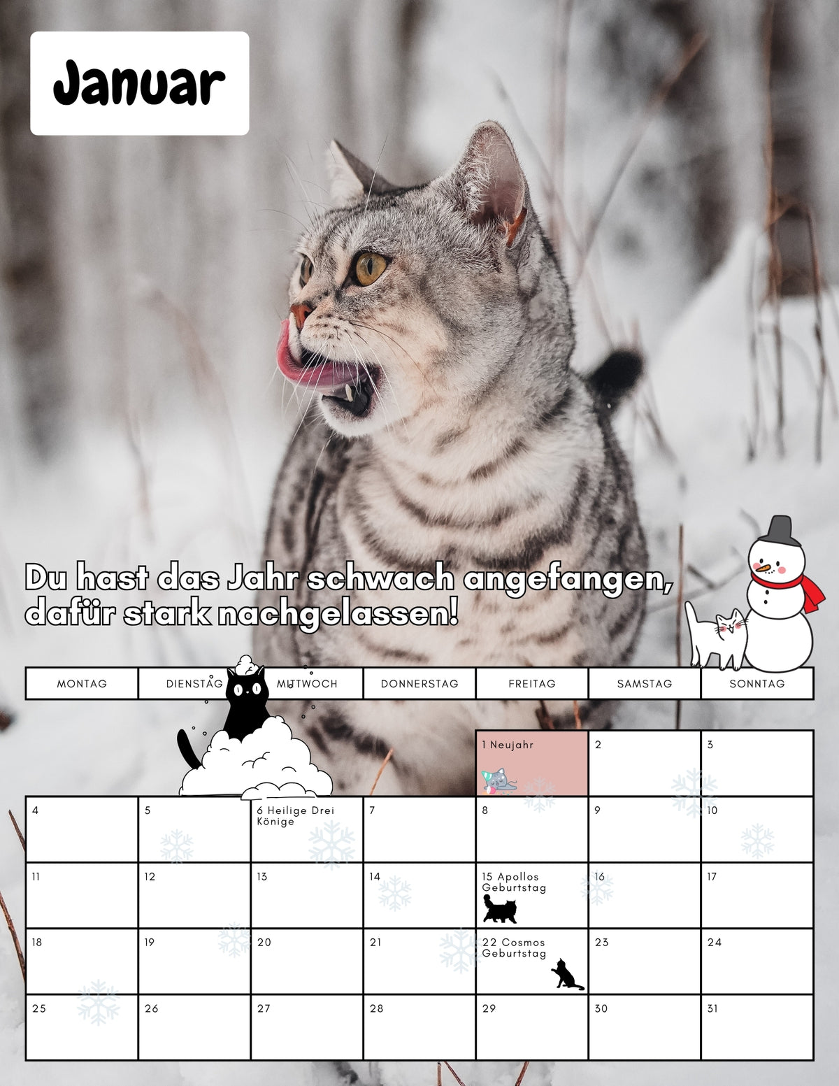 Apollo & Cosmo - kein Kalender zum hängenbleiben