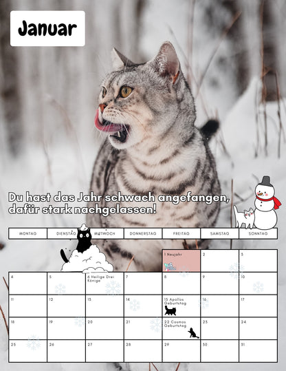 Apollo & Cosmo - kein Kalender zum hängenbleiben